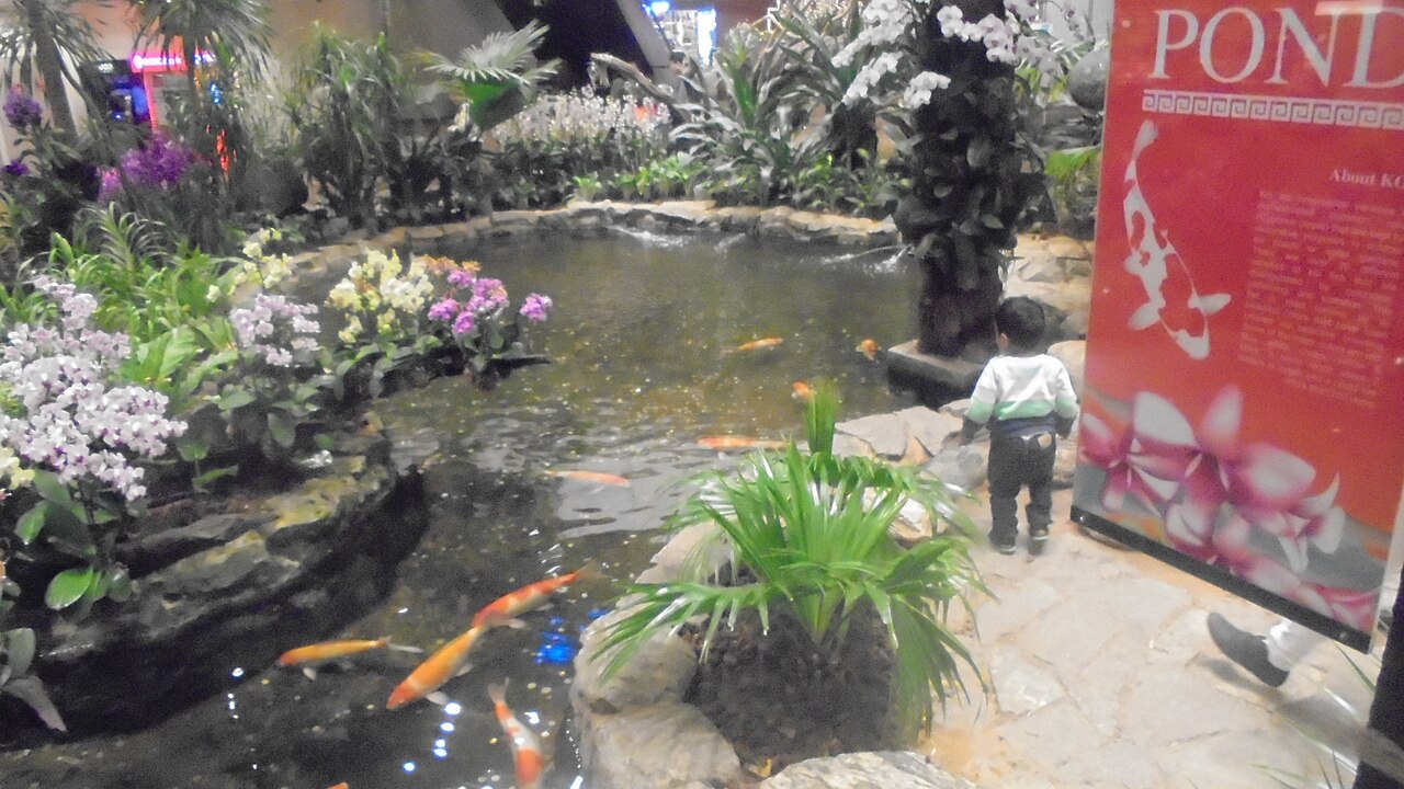 Orchid Garden