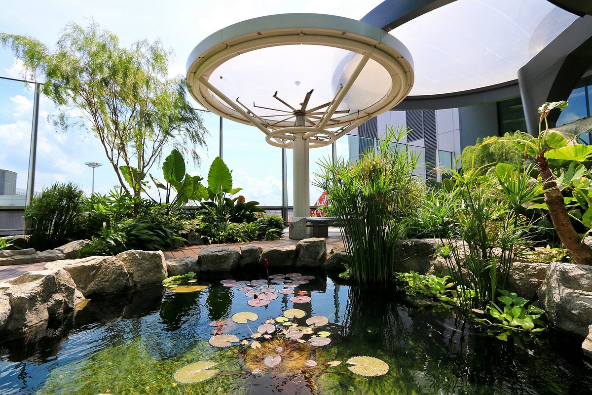 Water Lily Garden at Changi Airport